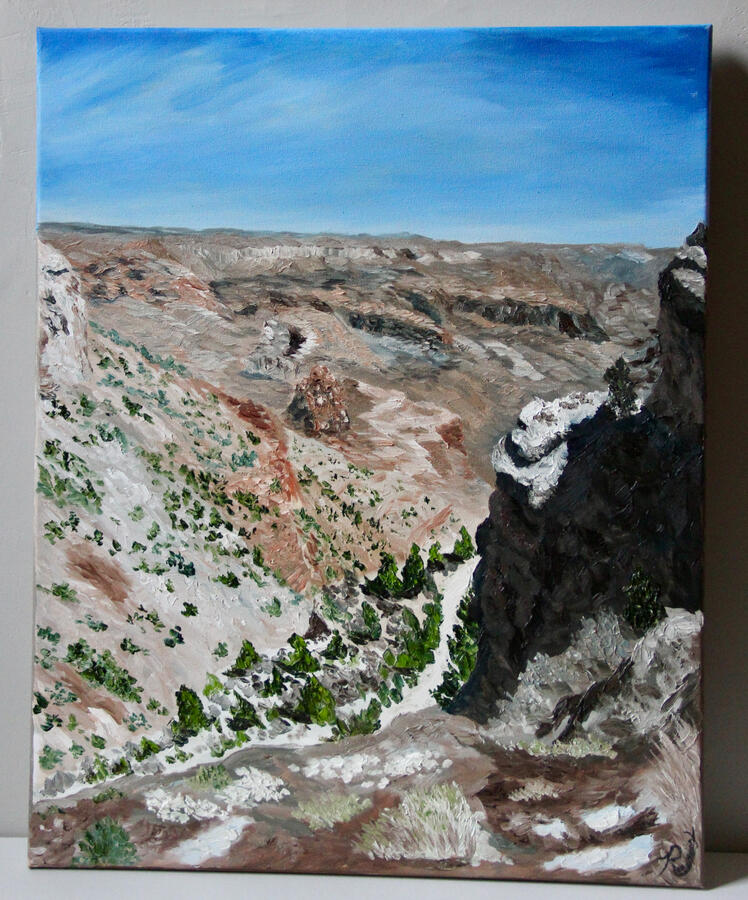 Grand Canyon Gaze- $330