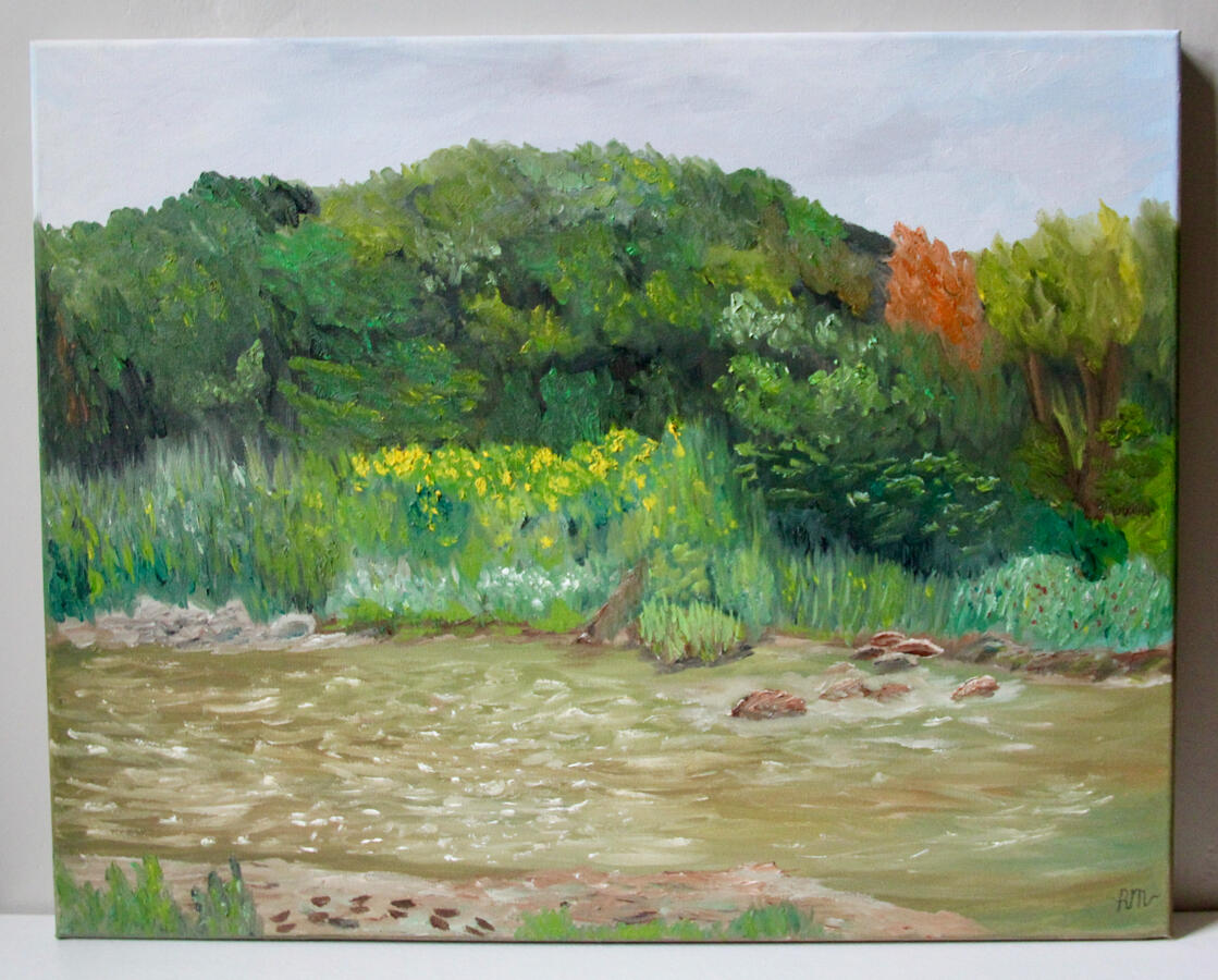 Overlooking Flandrau- $214