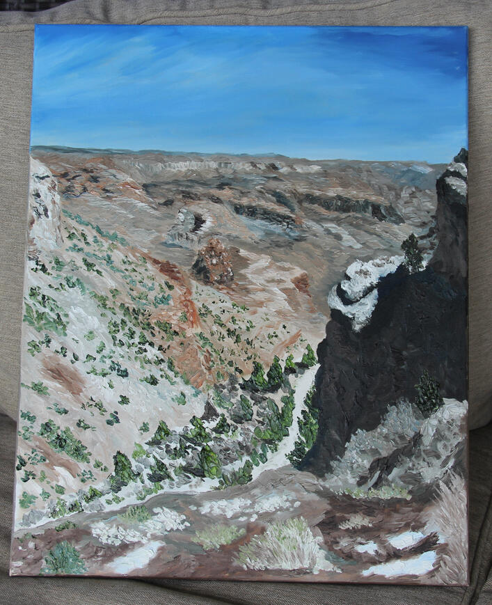 Grand Canyon Gaze