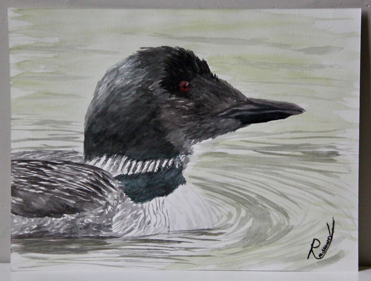 Watching a Loon- $84