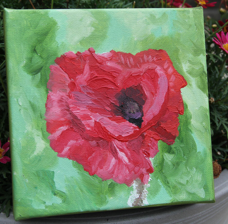 Picturesque Poppy